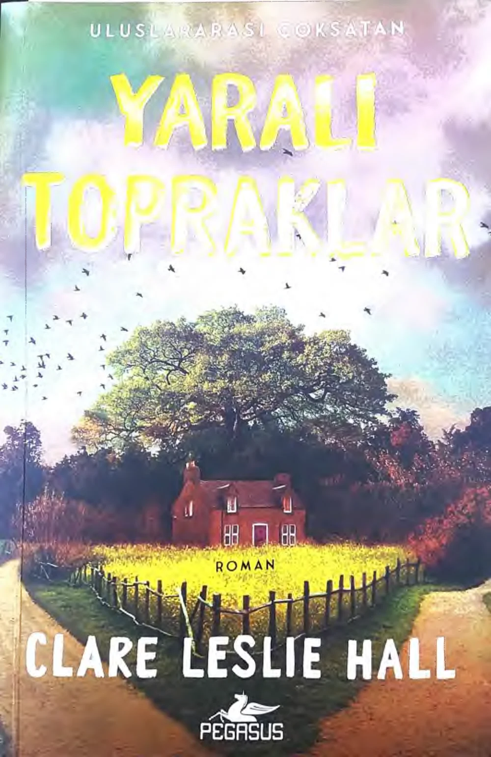 Yaralı Topraklar — Clare Leslie Hall