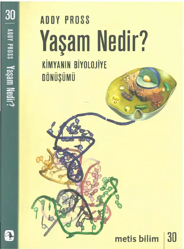 Yaşam Nedir? Kimyanın Biyolojiye Dönüşümü — Addy Pross