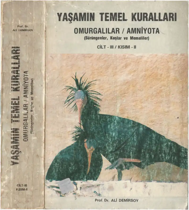 Yaşamın Temel Kuralları: Omurgalılar / Amniyota (Sürüngenler, Kuşlar ve Memeliler) Cilt III Kısım II — Ali Demirsoy