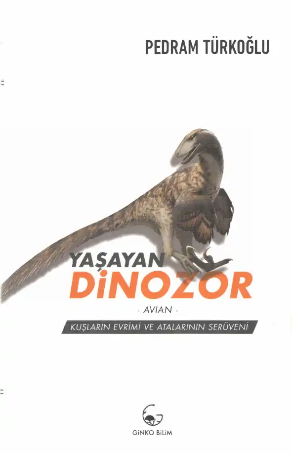 Yaşayan Dinozor — Pedram Türkoğlu