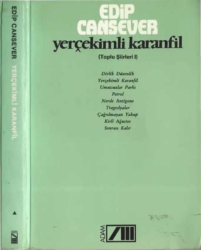 Yerçekimli Karanfil — Edip Cansever