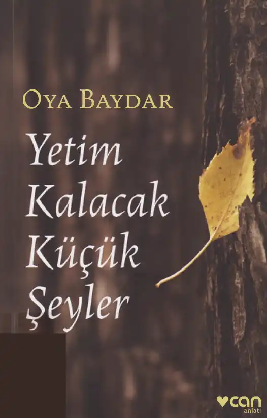 Yetim Kalacak Küçük Şeyler — Oya Baydar